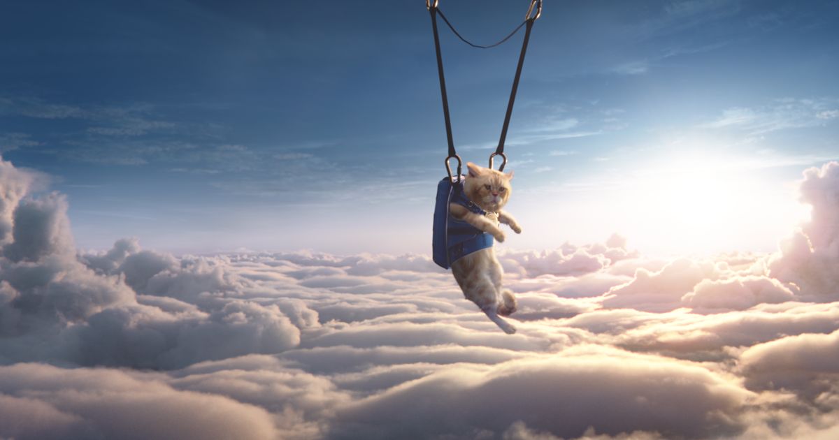 Moneysupermarket Puts Your Head In The Clouds Shots Moneysupermarket Puts Your Head In The Clouds Shots