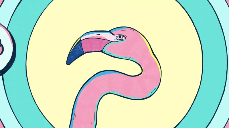 The Mystery of The Pink Flamingo