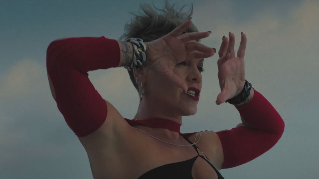 P!NK’s picturesque plunge