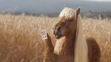 Mischief shows that insulting ponies is bad for your e.l.f.