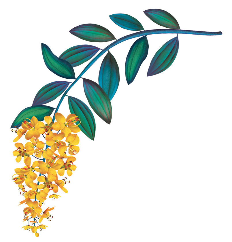 Mariana_Rodrigues_Bombay_Sapphire_Cassia-Bark_Indonesia