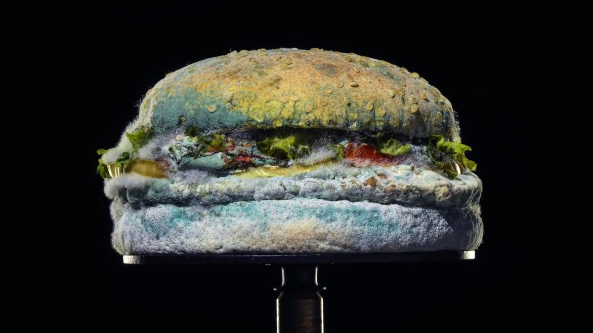 Amazing Burger King FOOD Montage limited edition