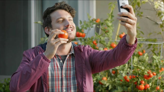 Tomato Selfie