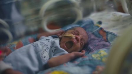 Pampers' premature presents