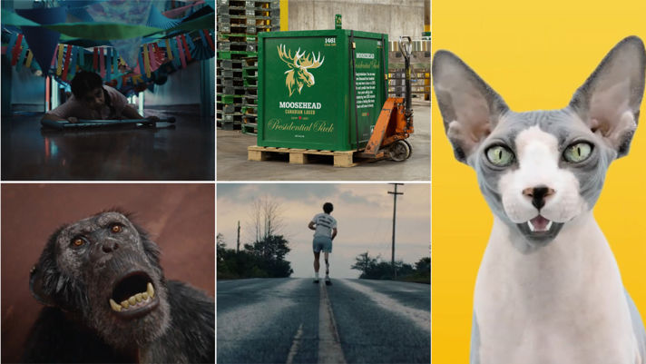 Cannes Contenders: Canada