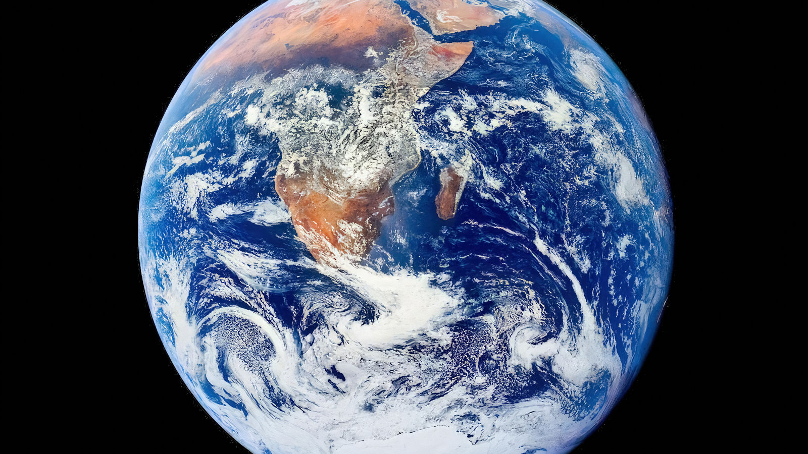 Planet Earth has Attenborough, but the internet has no one