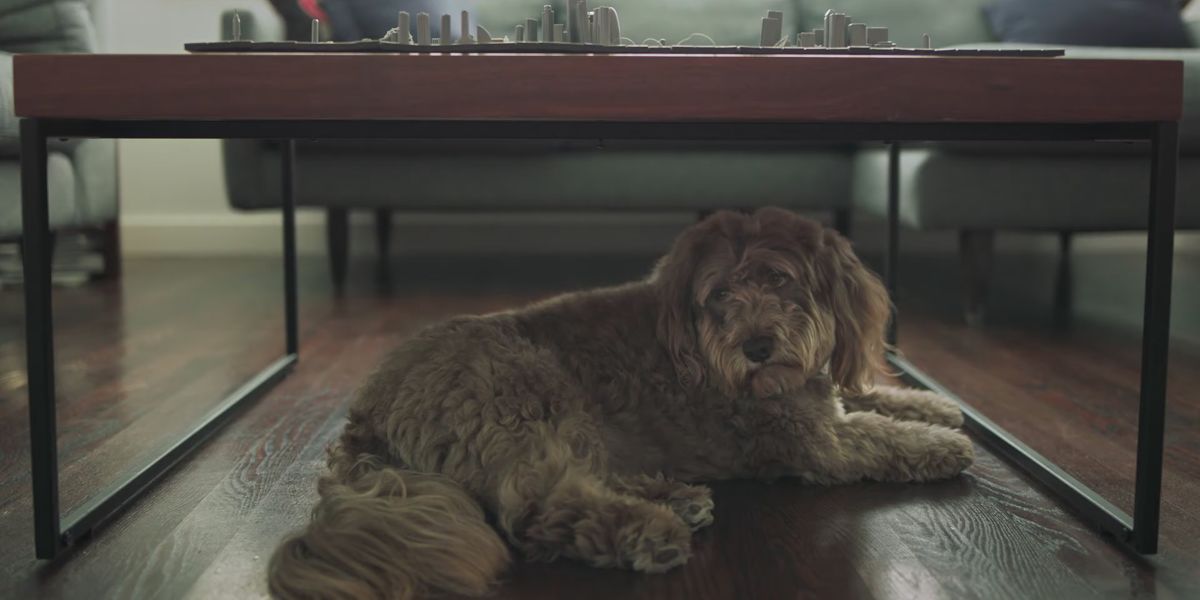 leather cat scratching post