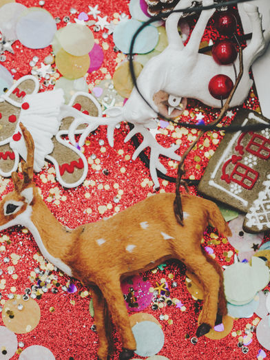 The Christmas Focus
