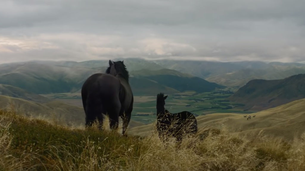 Lloyds Dark Horses Return In New Spot Shots