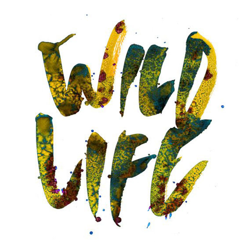 Stina-Persson-Wild-Life