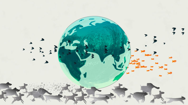 Extinction Emergency