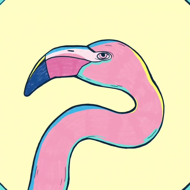 The Mystery of The Pink Flamingo