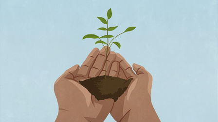 Planting the seeds of change; why agencies need to practice what they preach