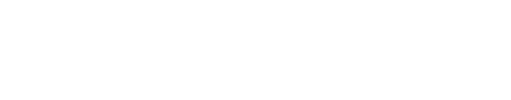 Public Record