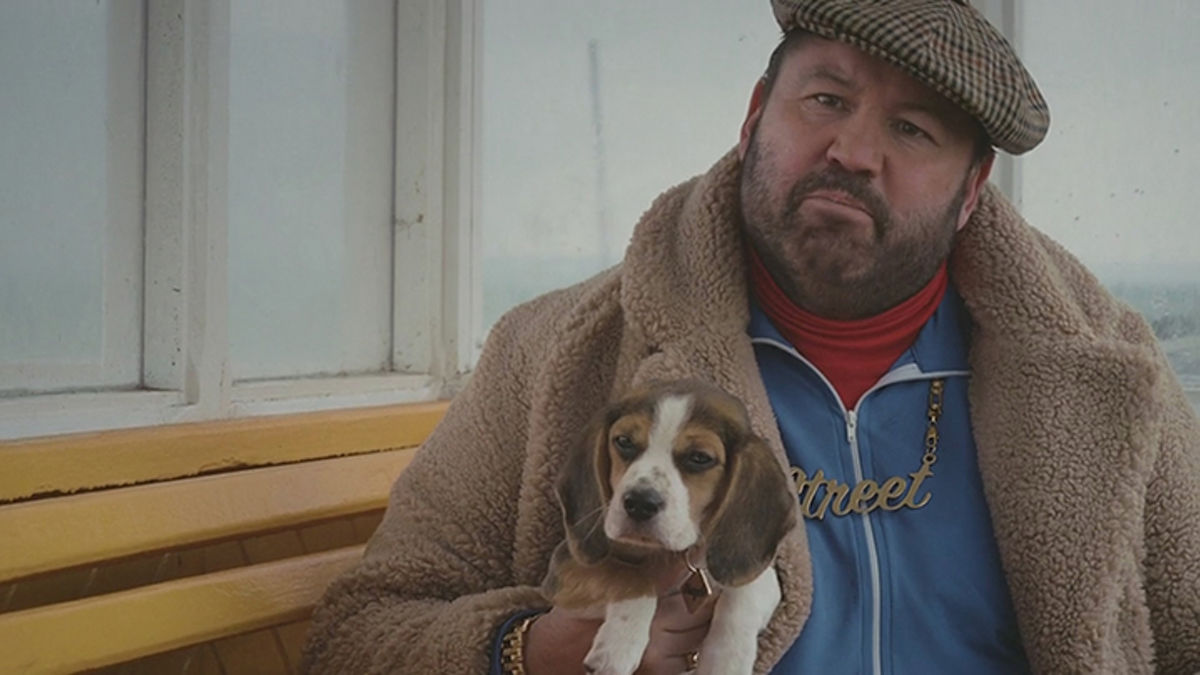 Beagle Life Insurance >> Meet Beagle And Lenny Street The New Stars Of Beagle Beagle Life Insurance >> Meet Beagle And Lenny Street The New Stars Of Beagle