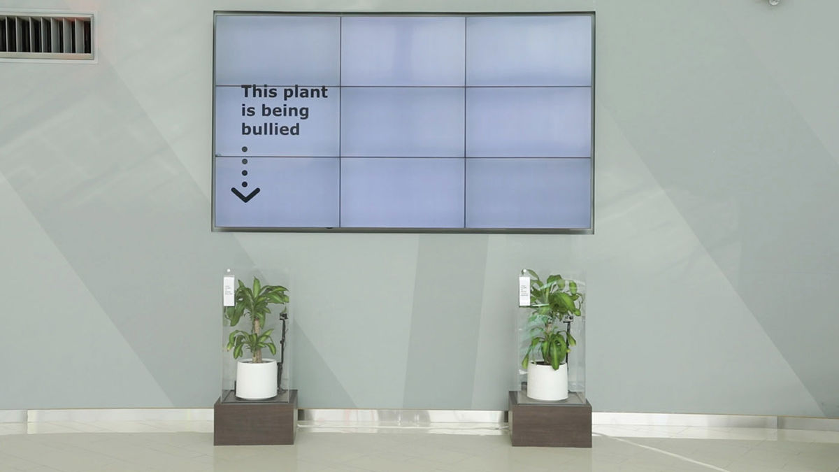 IKEA Bullies Plants to the Power of Negative Words | shots