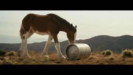 Budweiser’s one keg pony