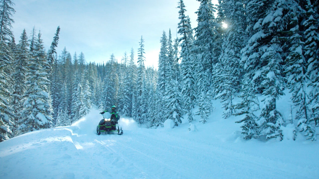 ZR Trail