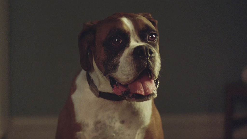 John Lewis Excitable Edgar Is Here To Light Your Christmas Fire Shots