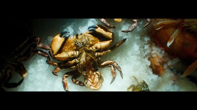 Röyksopp - A Crab & A Pipe