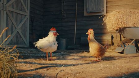 FanDuel Casino’s poultry ponderations