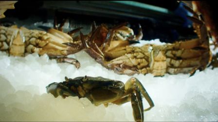 Röyksopp casts a crab