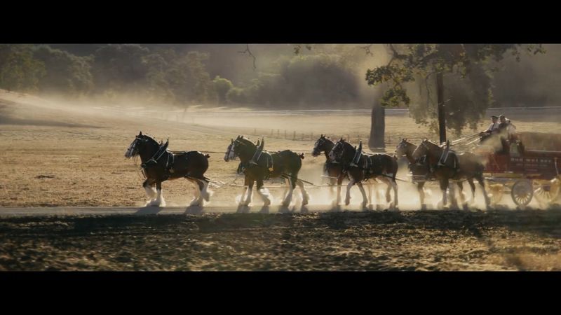 Budweiser