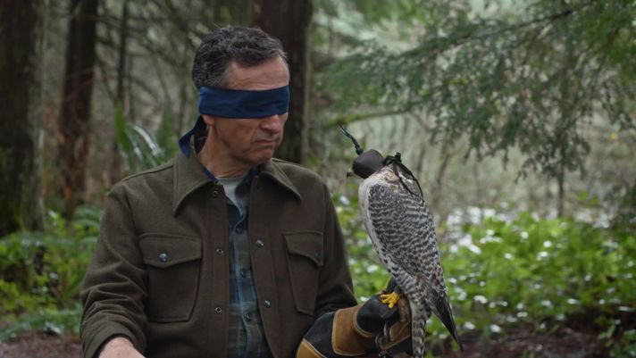 Falconer