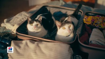 Hill’s Pet Nutrition launches Because You’re Only Human campaign
